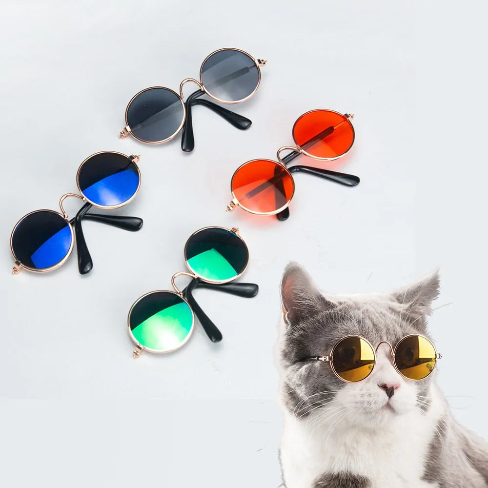 Stylish Pet Sunglasses