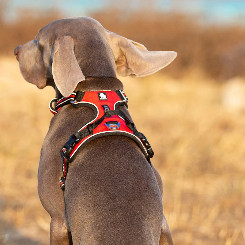 No-Pull Dog Harness with Reflective Straps and Quick-Release Buckle