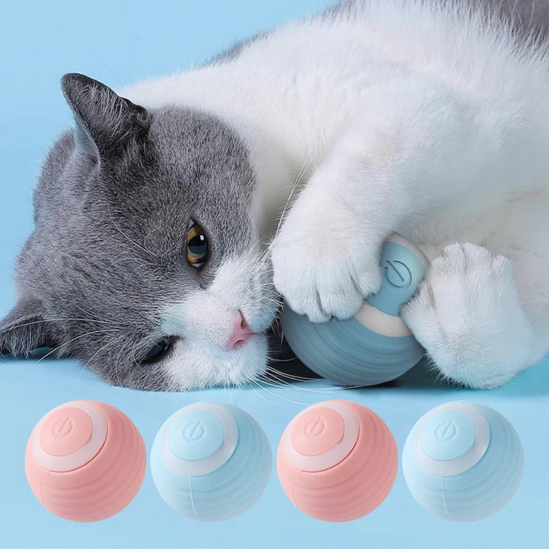 Interactive Rechargeable Rolling Cat Toy Ball for Home Play