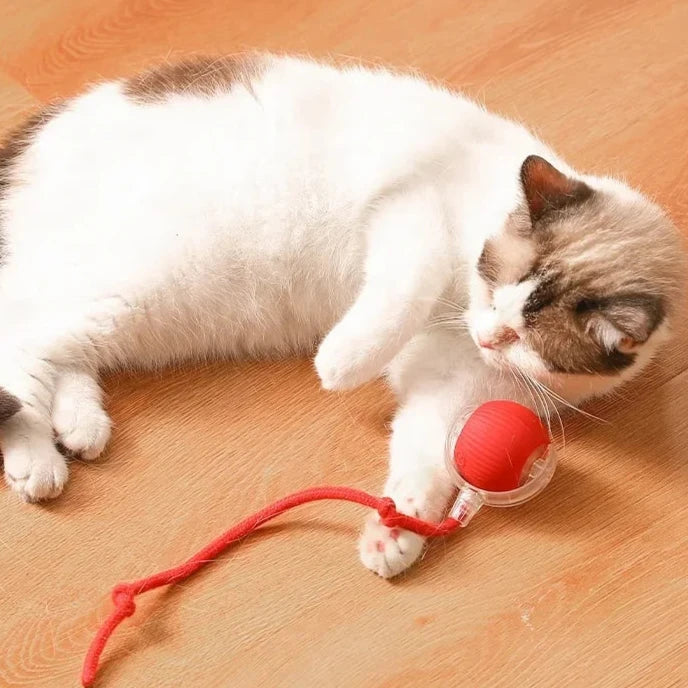 Interactive Cat Rolling Ball