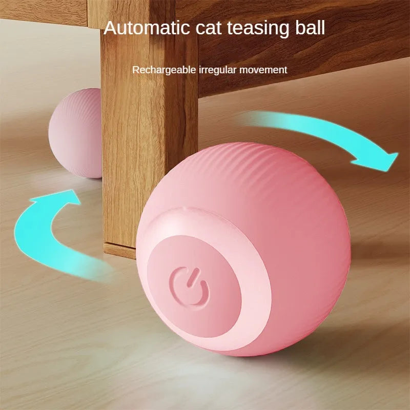 Interactive Rechargeable Rolling Cat Toy Ball for Home Play