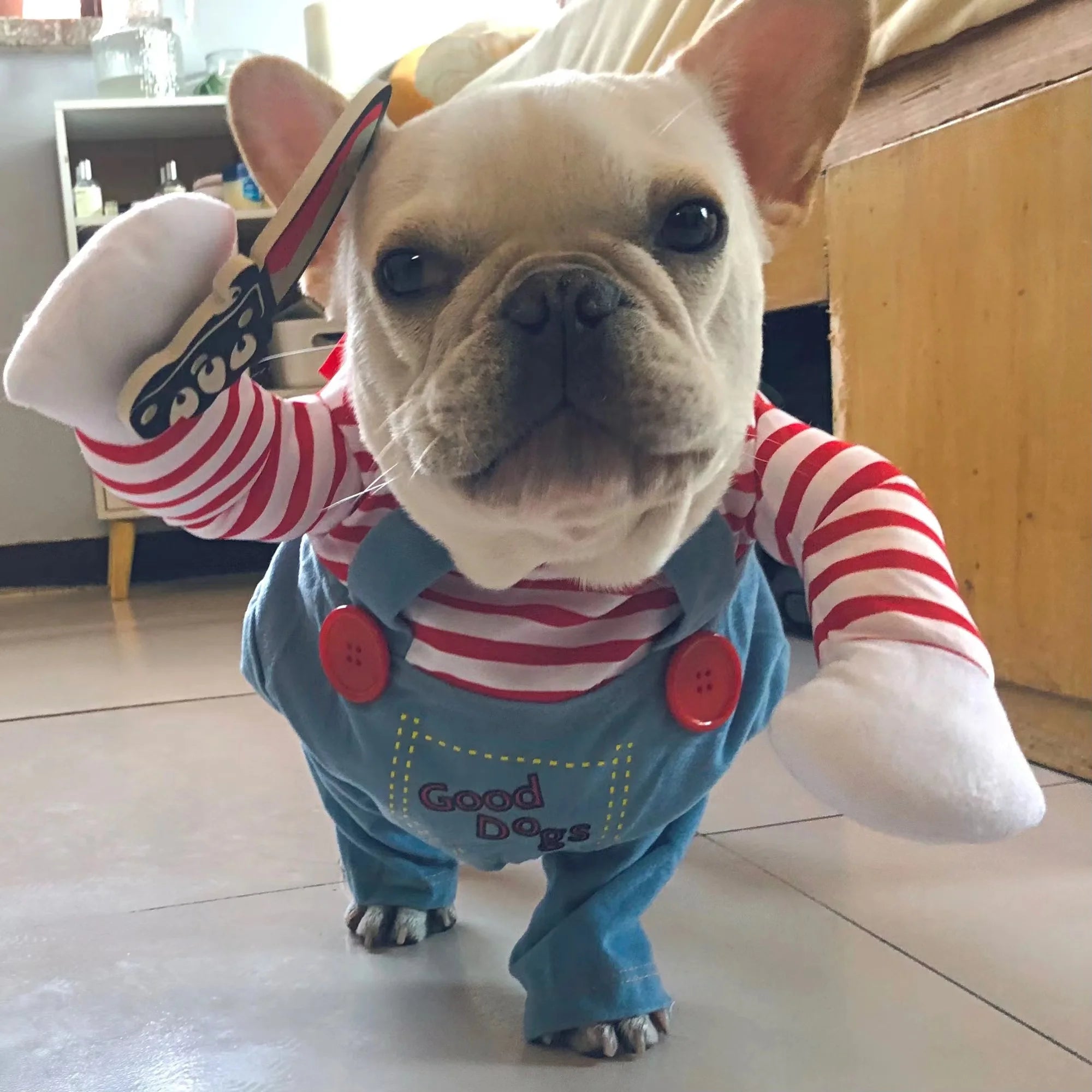 Halloween Pawsome Chucky Pet Costume