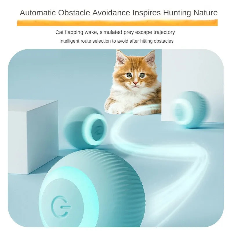 Interactive Rechargeable Rolling Cat Toy Ball for Home Play