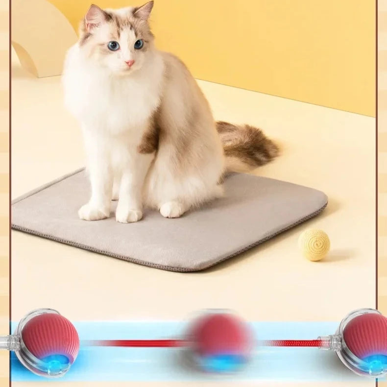 Interactive Cat Rolling Ball