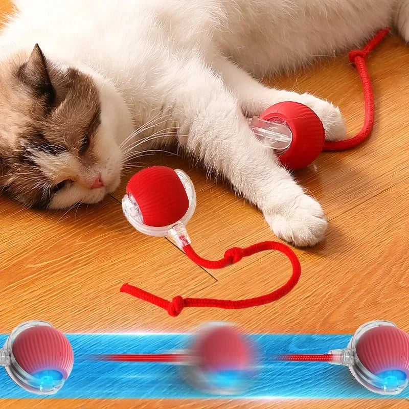 Interactive Cat Rolling Ball