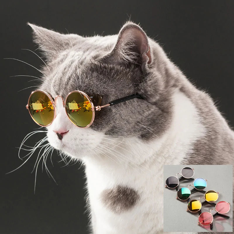 Stylish Pet Sunglasses